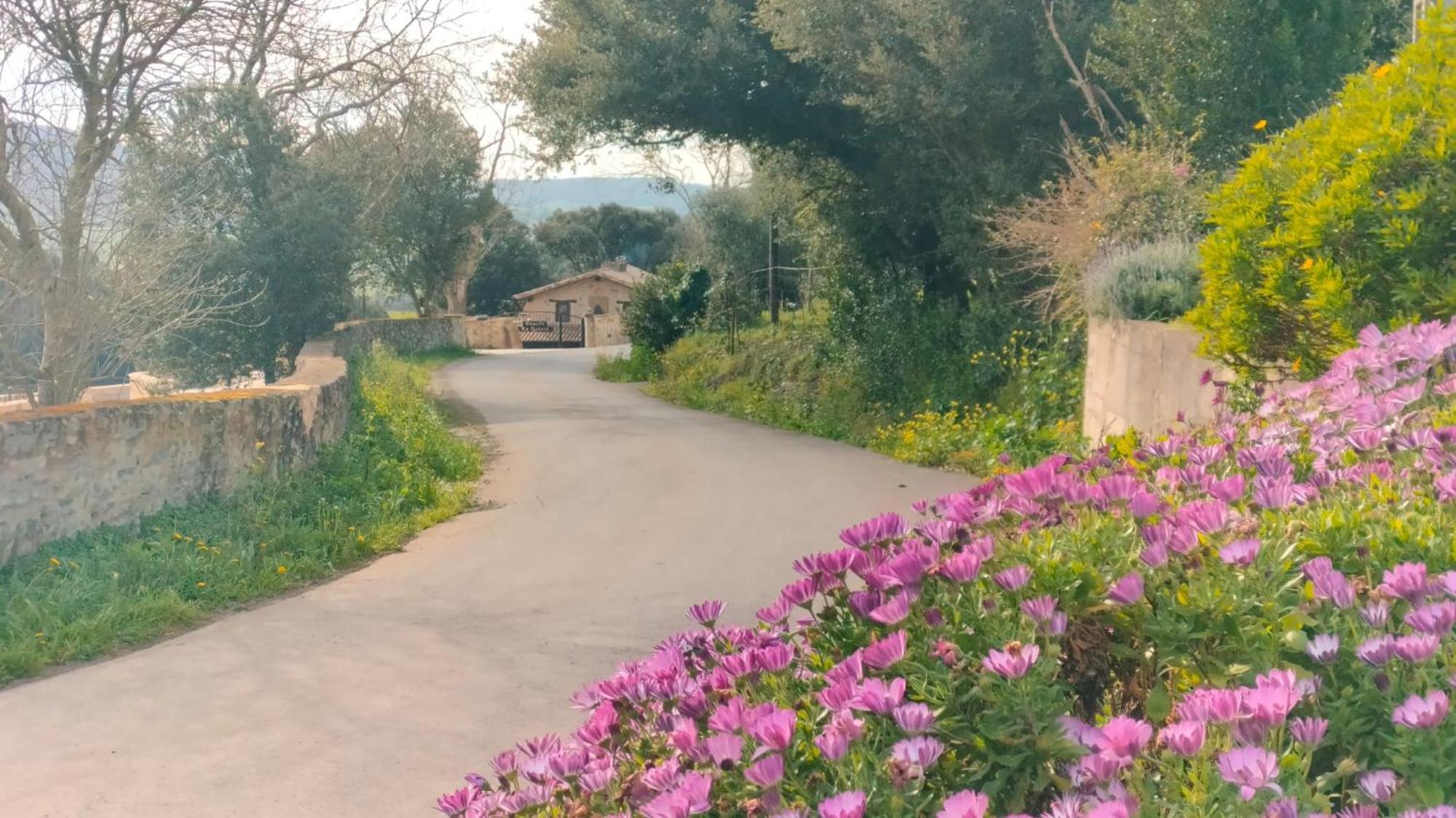 La Quinta Luxury Palace Arnuero Kültér fotó